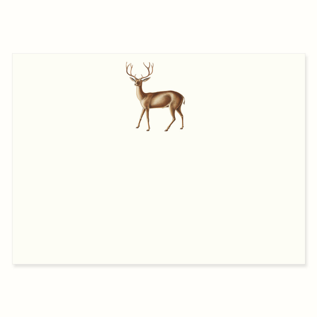Deer Notecard Set